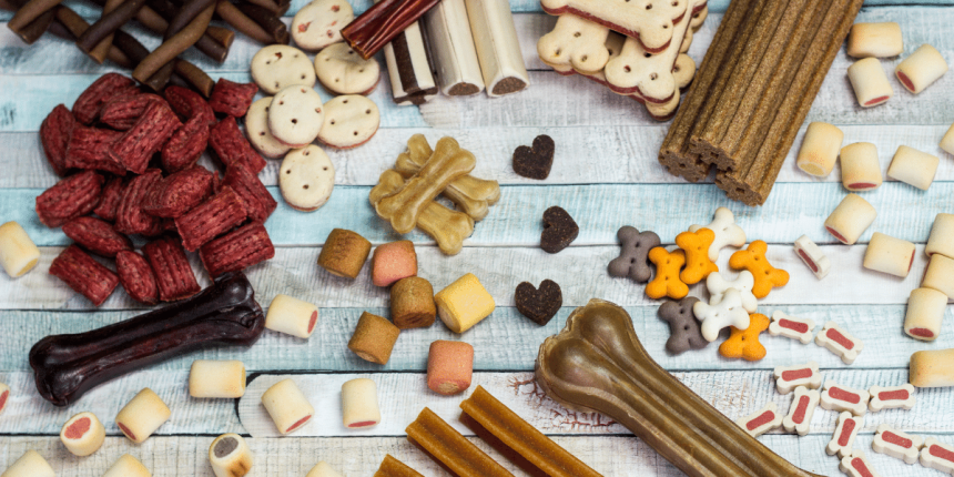 Pet Food Companies In Mumbai