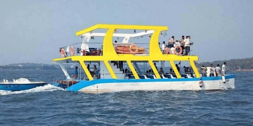 Dolphin Safari