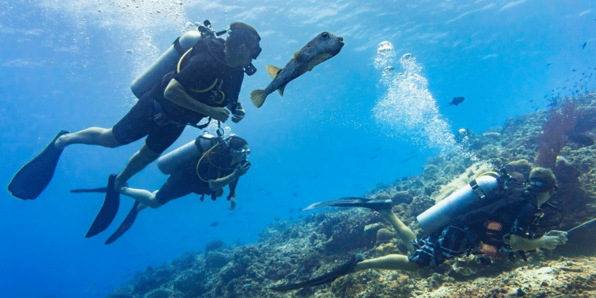 Here Is Everything You Need To Know About One Of The Adventurous Activities In Goa