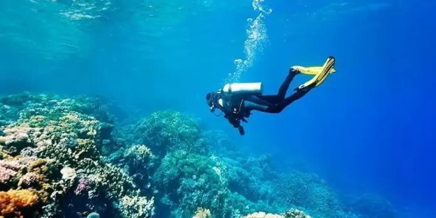 Scuba Diving in Goa