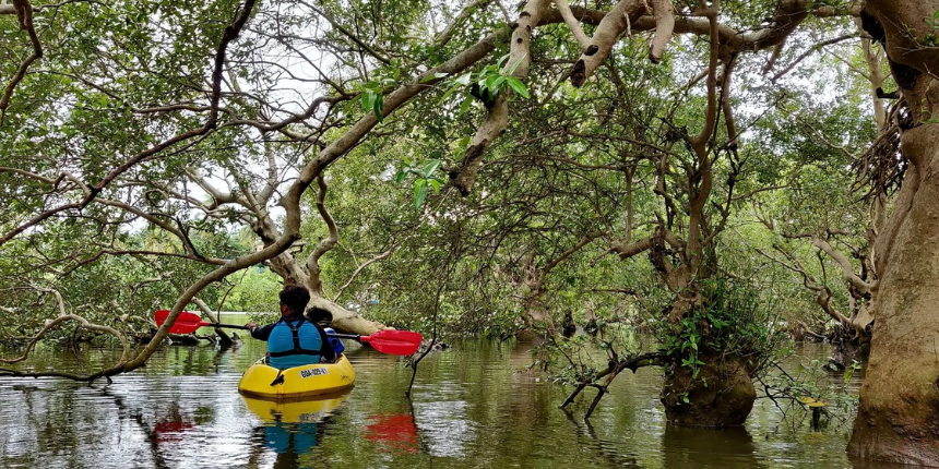 Kayaking in Goa