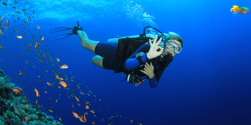 Scuba Diving in Goa