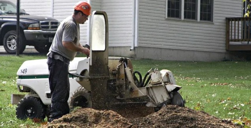 Stump Grinding Services in New Jersey