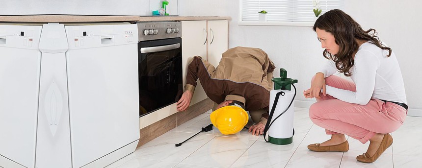pestcontrolnearme