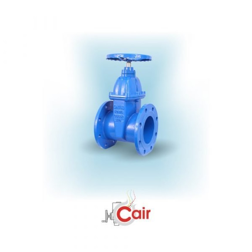 Resilient Seated Valves: Your Key to Durable Fluid Handling