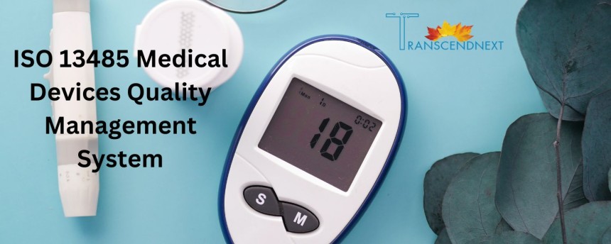 Where Can I Find an ISO Consultant?