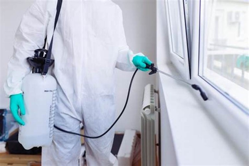 pestcontrolinmumbai, pestcontrolservicesinmumbai