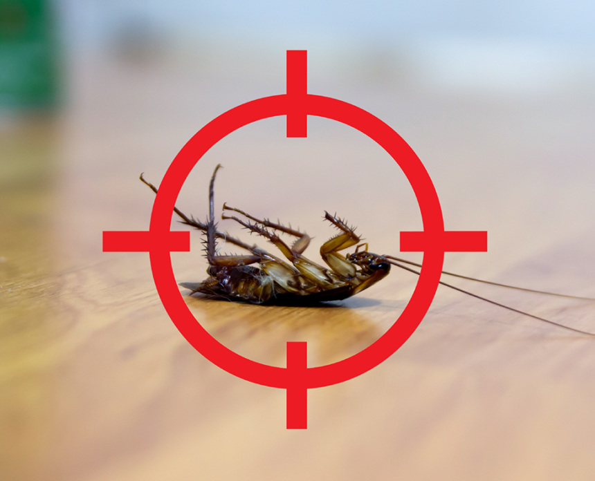 cockroachpestcontrolnearme, cockroachpestcontrolservices
