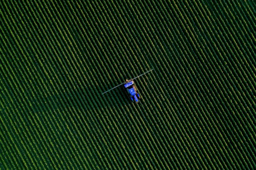 Best Practices for Managing Pests in Crop Systems