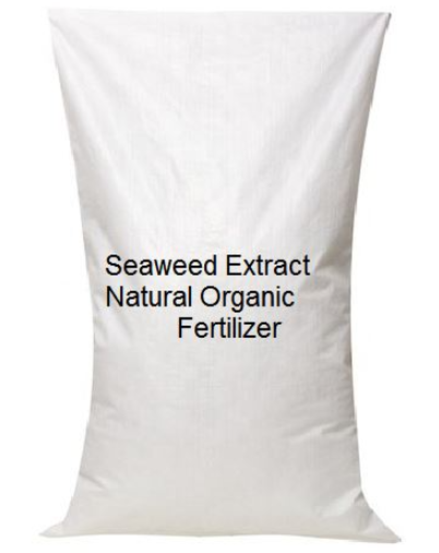 What Are the Best Organic Insecticides for Flower Farming?