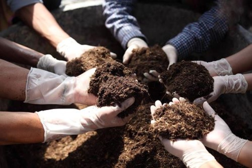 What Are the Long-Term Effects of Propiconazole Use on Soil Health?