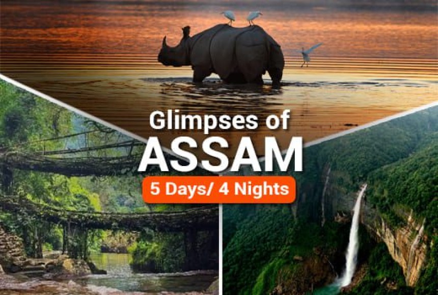 Kaziranga