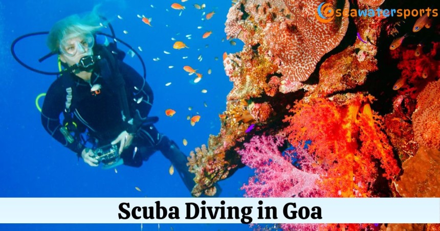 Scuba Diving in Goa: Discover a Hidden World Underwater